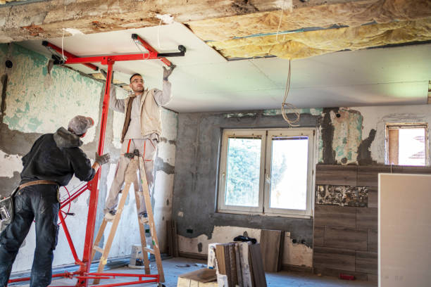 Best Cellulose Insulation  in Ellport, PA