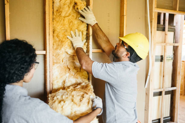 Best Cellulose Insulation  in Ellport, PA