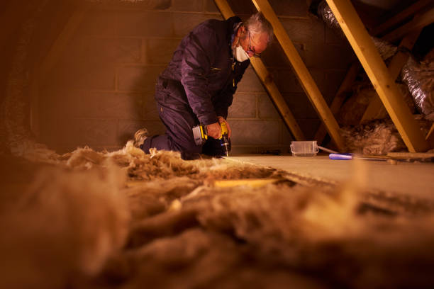 Best Local Insulation Services  in Ellport, PA